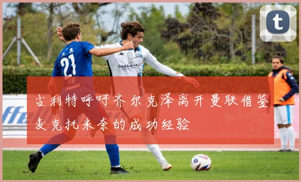 古利特呼吁齐尔克泽离开曼联借鉴麦克托米奈的成功经验