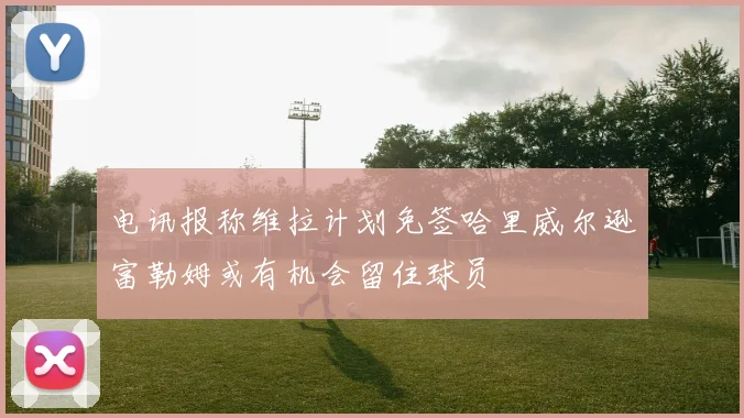电讯报称维拉计划免签哈里威尔逊富勒姆或有机会留住球员