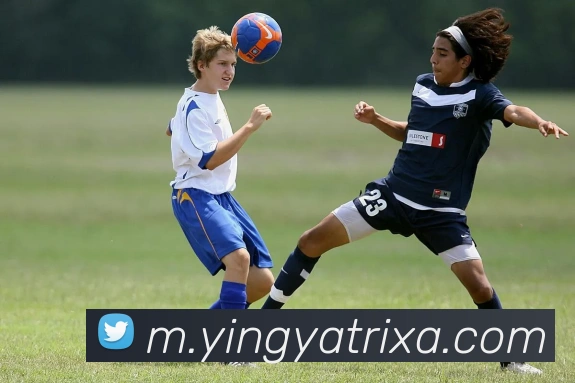 英亚体育发展历程